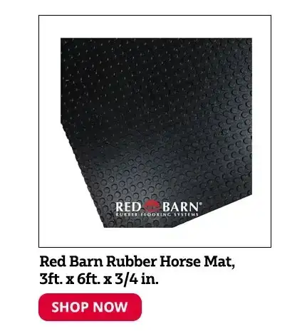 4' x 6' x 3/4" Rubber Horse Mat