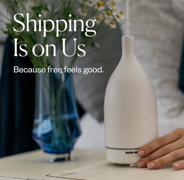 Shipping is on us.