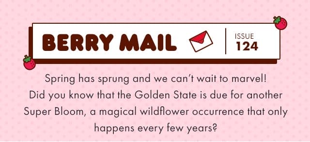 🍓\xa0Berry Mail Issue 124 🍓| Spring has sprung and we can’t wait to marvel! Did you know that the Golden State is due for another Super Bloom, a magical wildflower occurrence that only happens every few years?