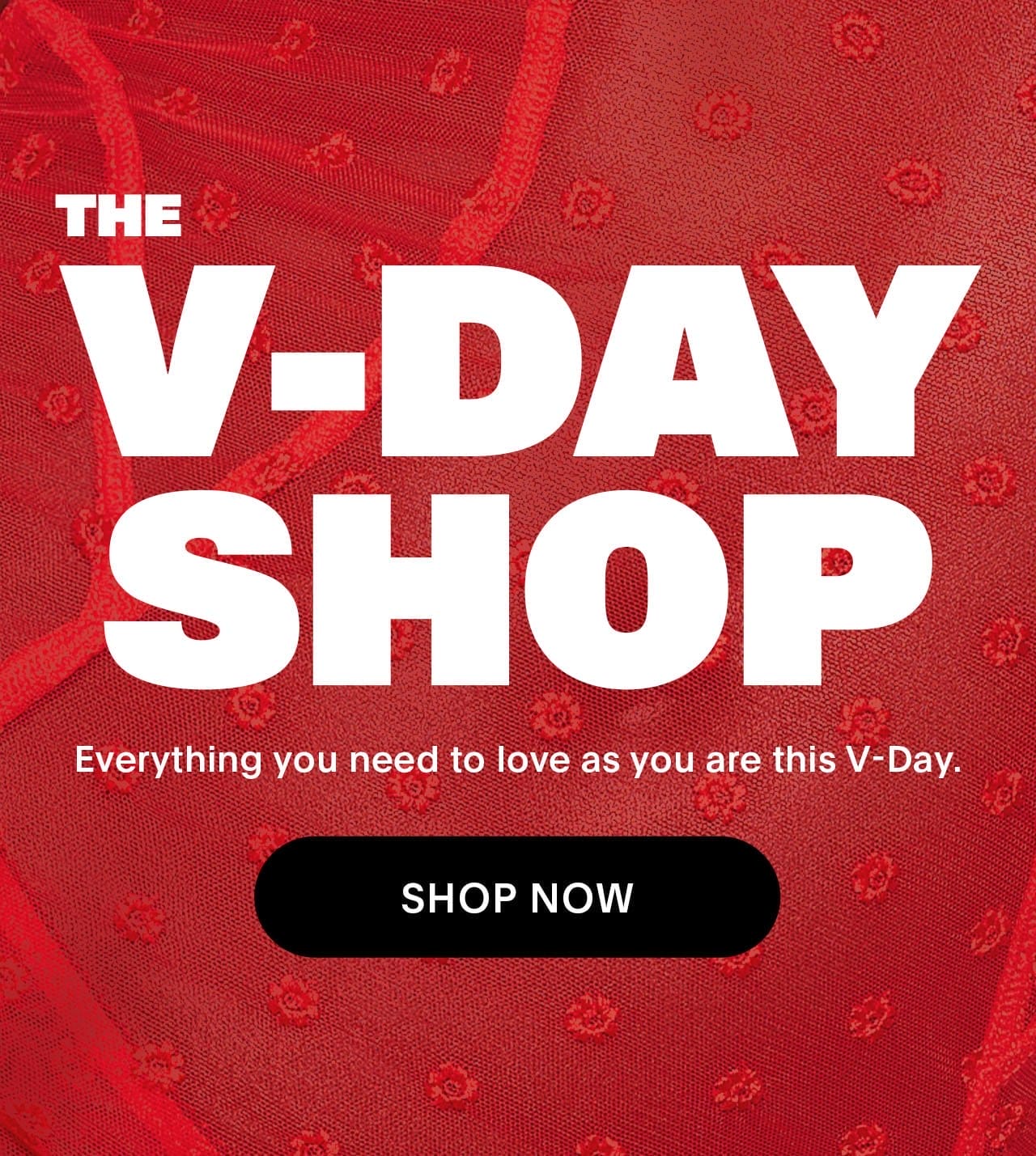 THE V-DAY SHOP