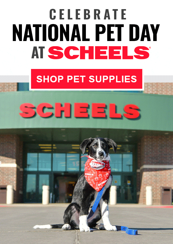 Shop Pet Supplies