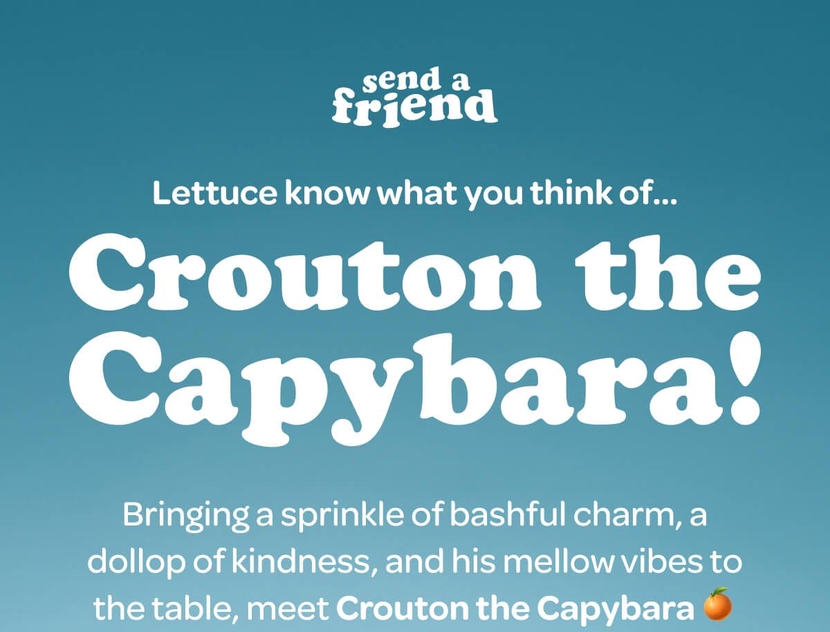 Lettuce know what you think of... Crouton the Capybara! Bringing a sprinkle of bashful charm, a dollop of kindness, and his mellow vibes to the table, meet Crouton the Capybara 🍊