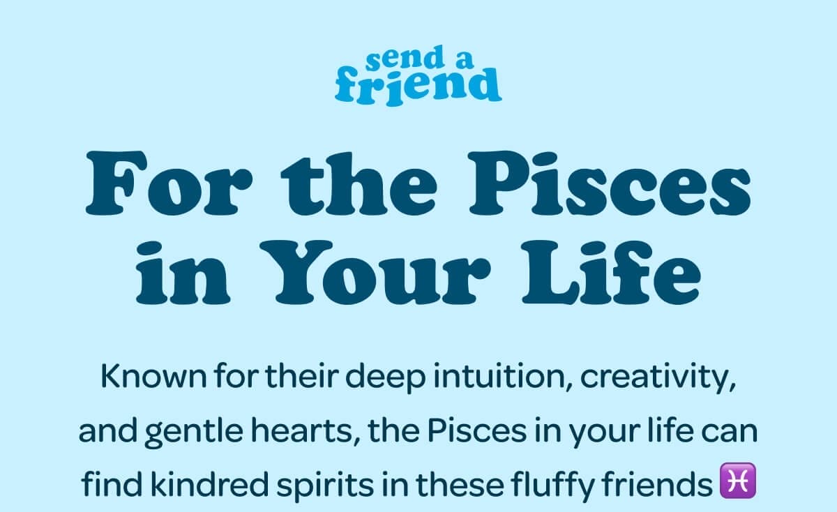 For the Pisces in Your Life. Known for their deep intuition, creativity, and gentle hearts, the Pisces in your life can find kindred spirits in these fluffy friends ︎♓