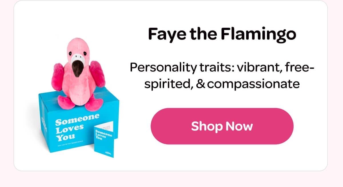 [Faye the Flamingo]