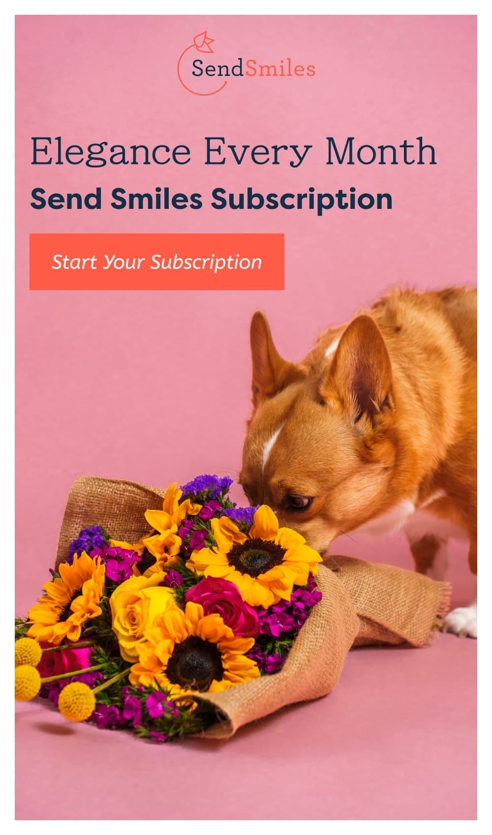 Elegance Every Month Send Smiles Subscription [Start Your Subscription]