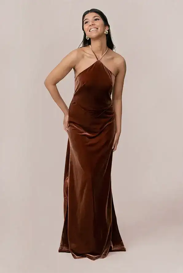 Image of Everly Velvet Dress