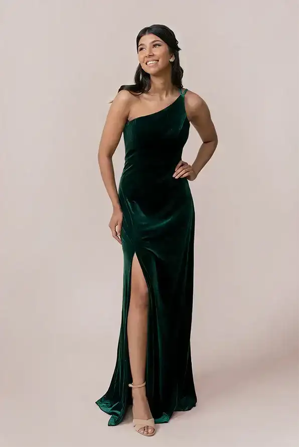 Image of Inez Velvet Dress