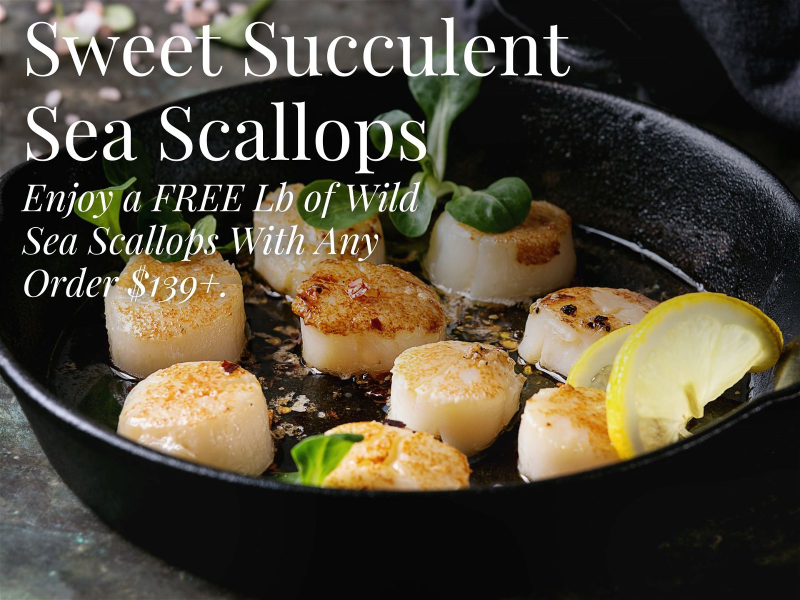 Free LB Wild Sea Scallops