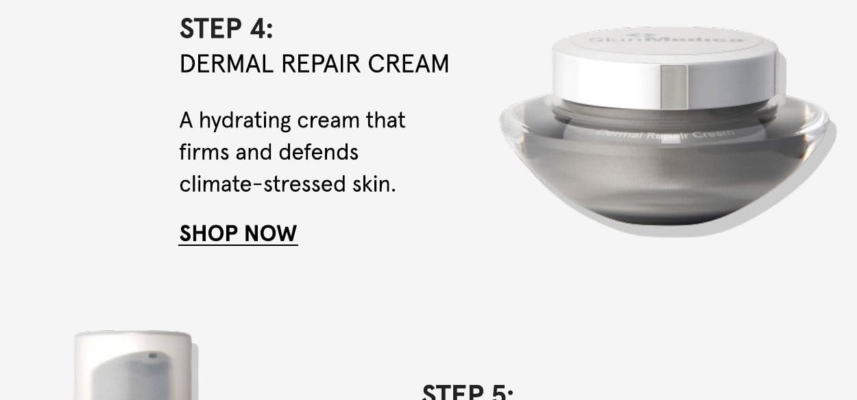 SkinMedica Dermal Repair Cream