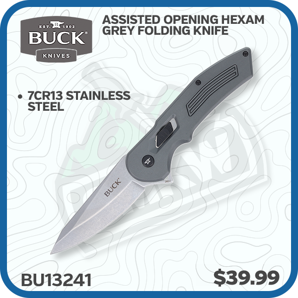 Buck Assisted Opening Hexam Grey Folding knife