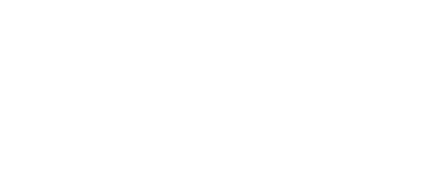 Snag white logo