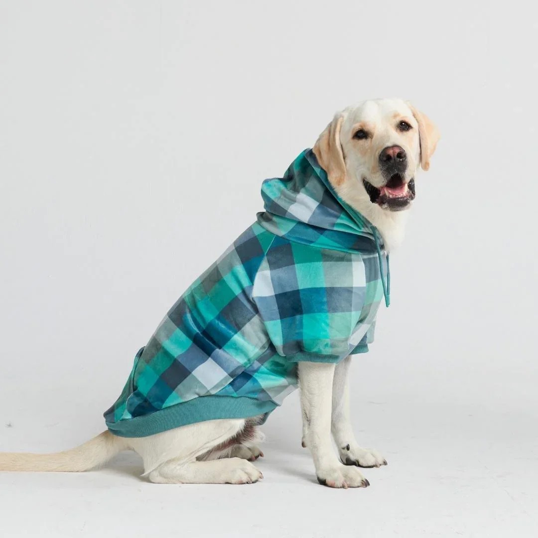 Image of Velvet Dog Hoodie - Turquoise Checkered