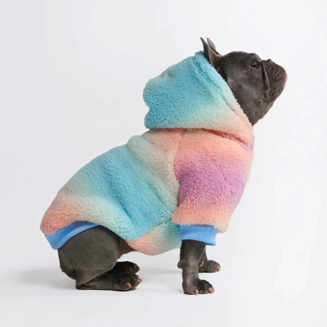 Image of Fluffdreams Blanket Dog Hoodie - Pastel Icing