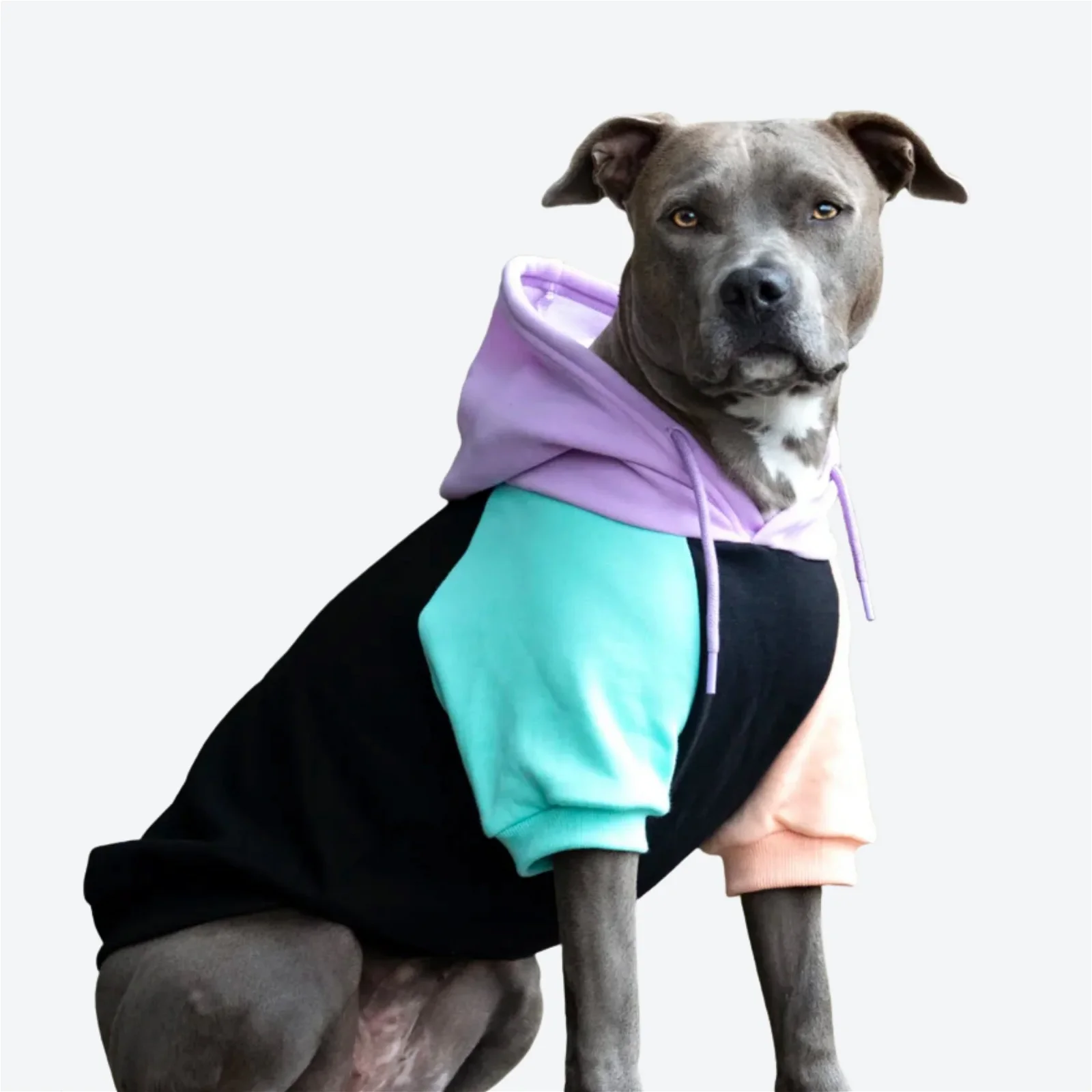 Image of Cyber Punk Dog Hoodie