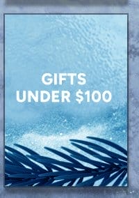 Gifts Under \\$100