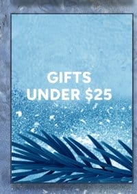 Gifts Under \\$25