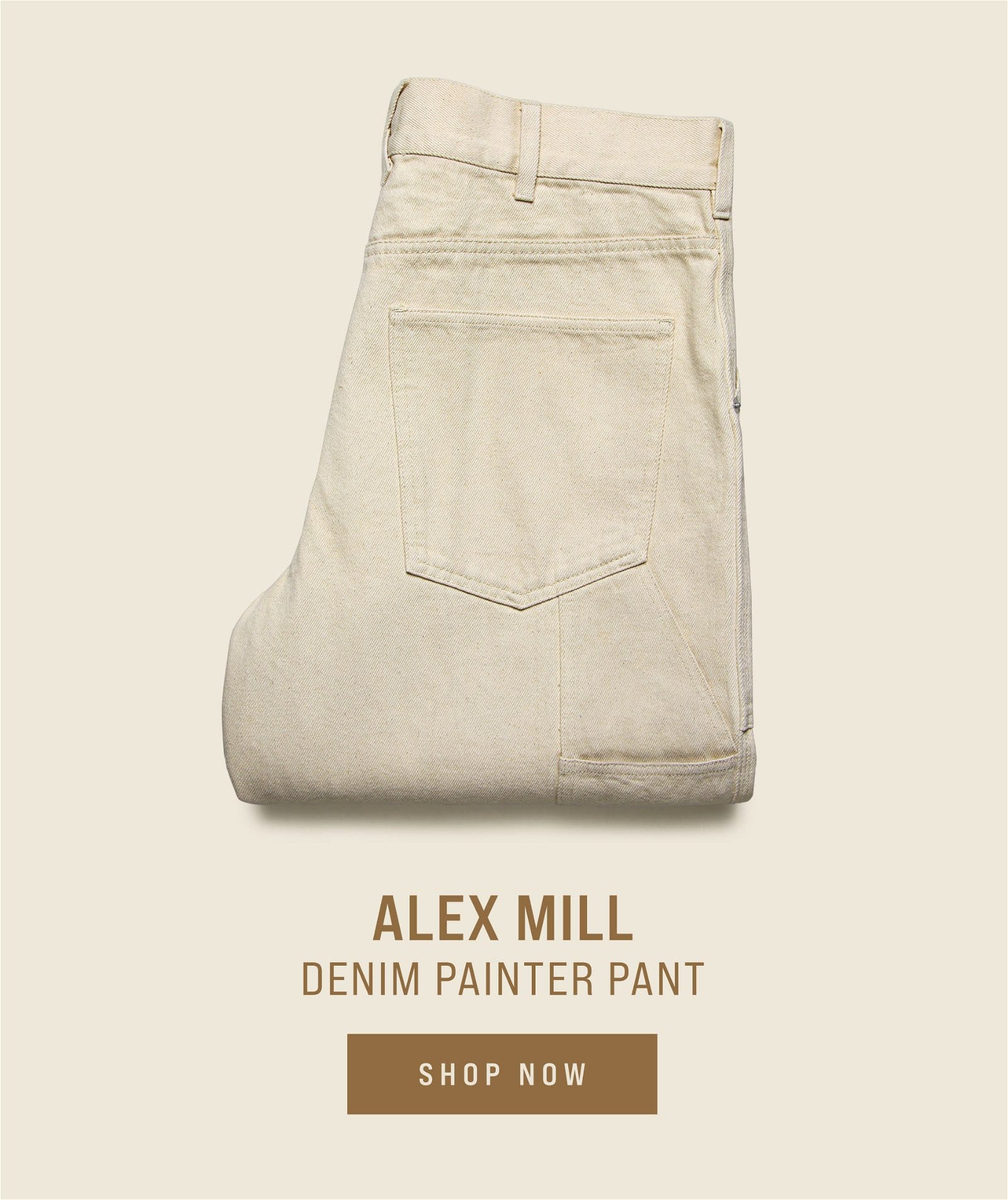 Alex Mill Denim Painter Pants