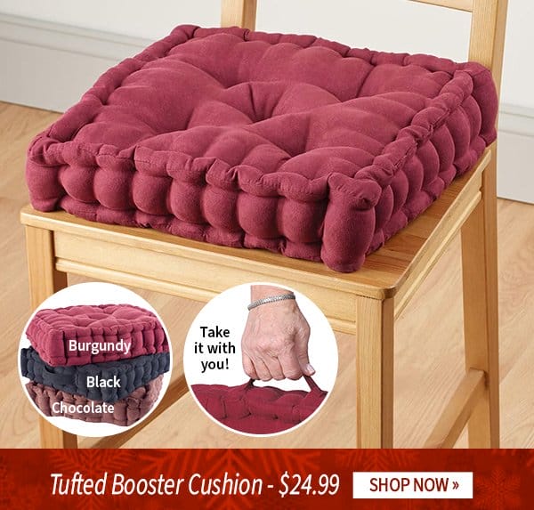 Tufted Booster Cushion