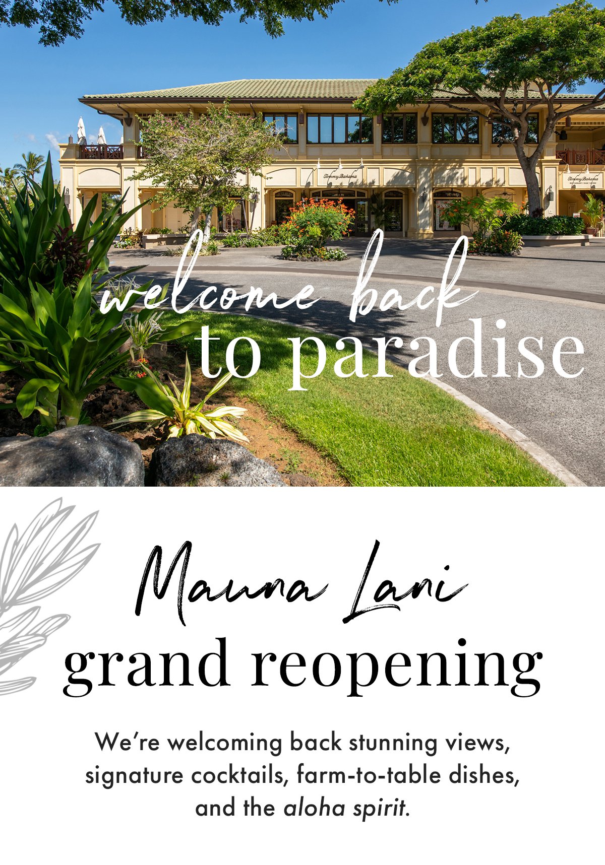 Welcome back to paradise. Mauna Lani grand reopening. We're welcoming back stunning views, signature cocktails, farm-to-table dishes, and the aloha spirit.