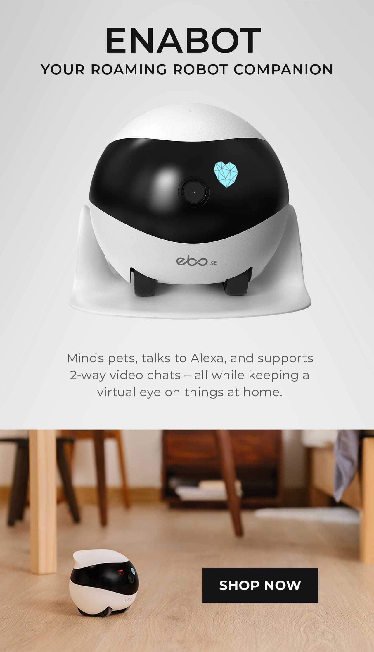 Enabot, Your Roaming Robot Companion | SHOP NOW