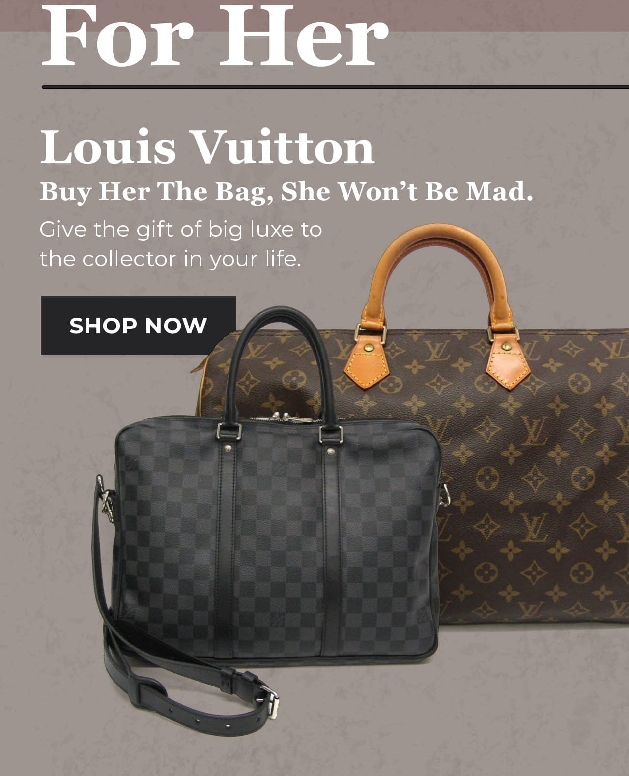 Louis Vuitton Handbags | SHOP NOW
