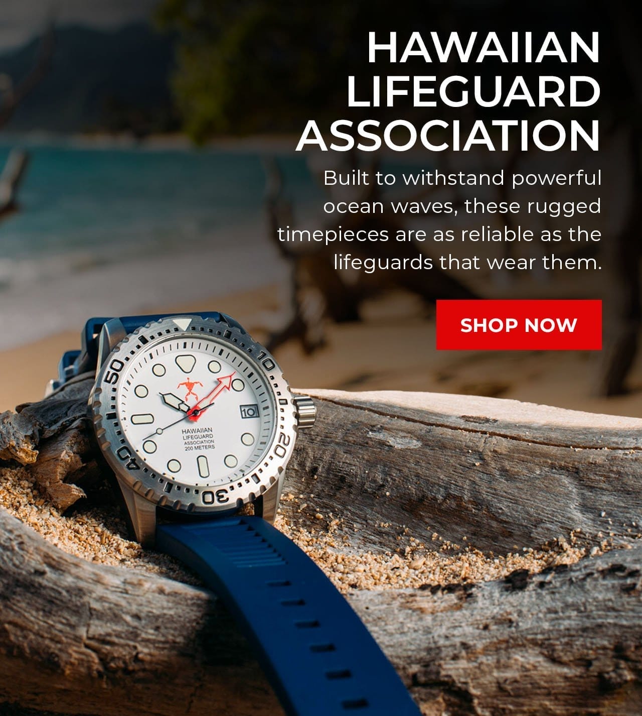 Hawaiian Lifeguard Association | SHOP NOW