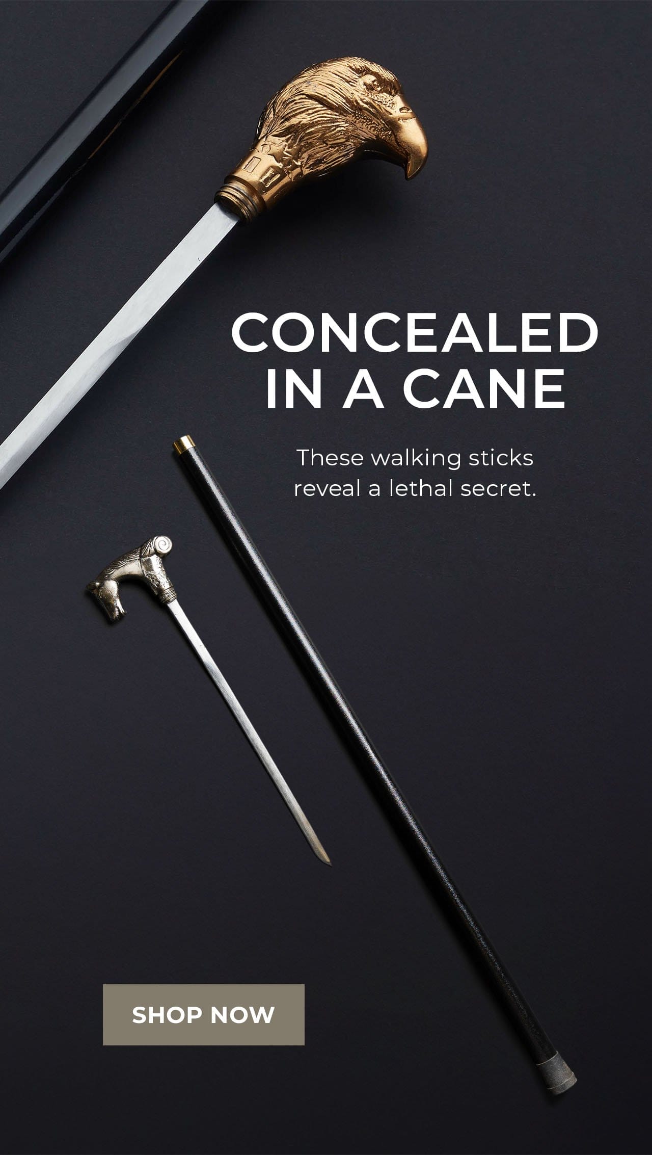 Concealed In A Cane | SHOP NOW