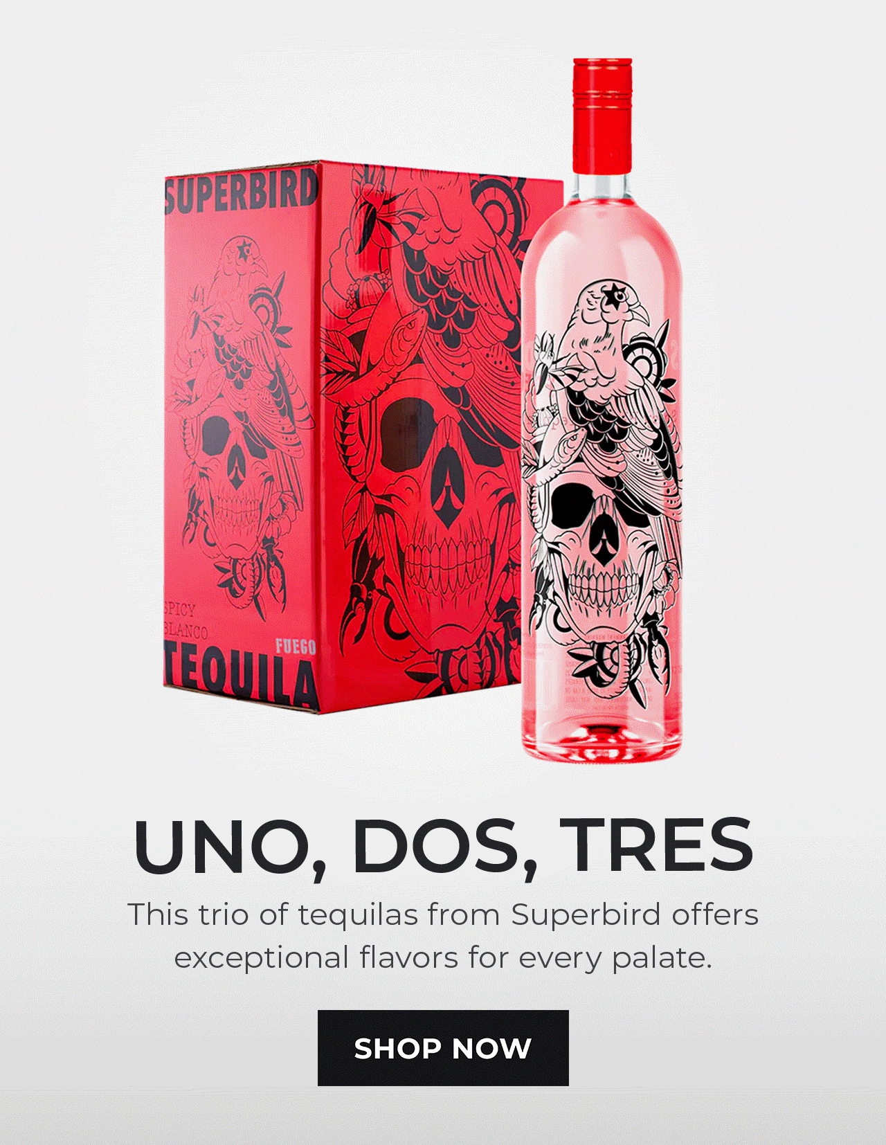 Trio of Tequilas | SHOP NOW