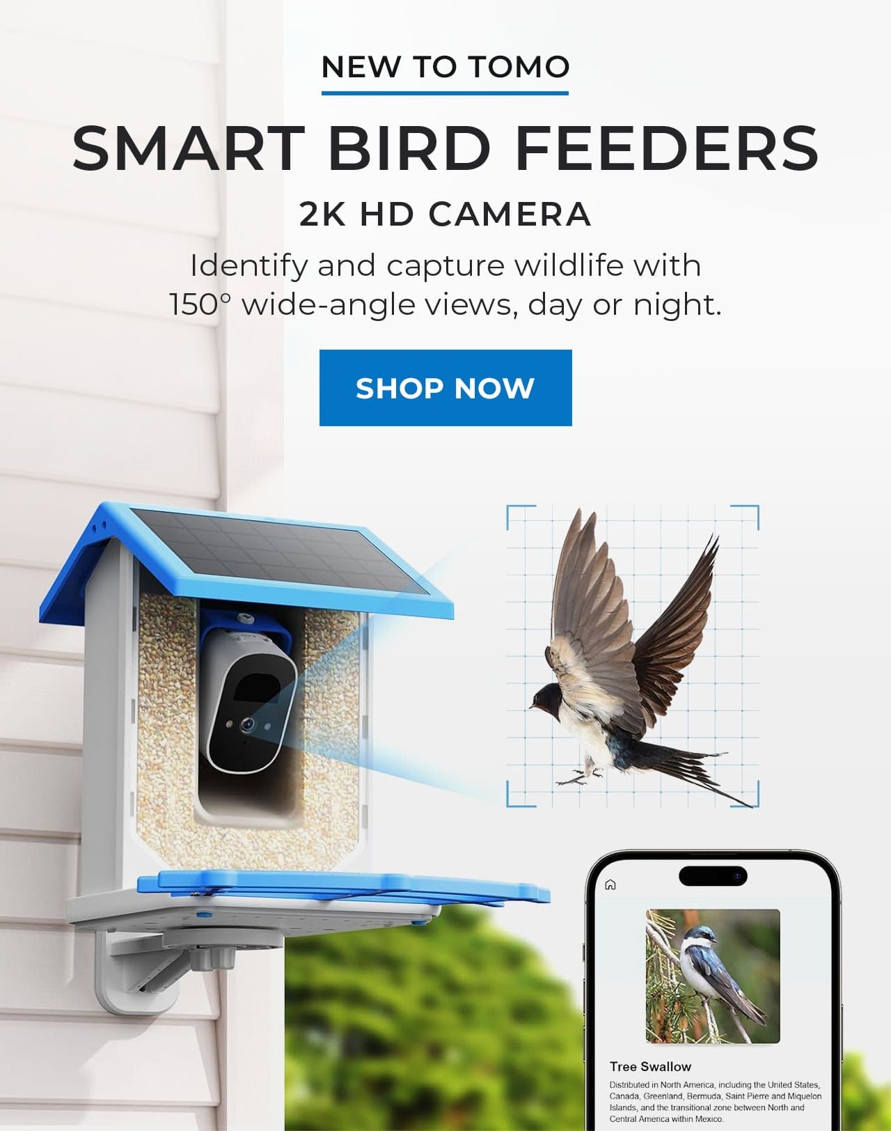 Smart Bird Feeders | SHOP NOW