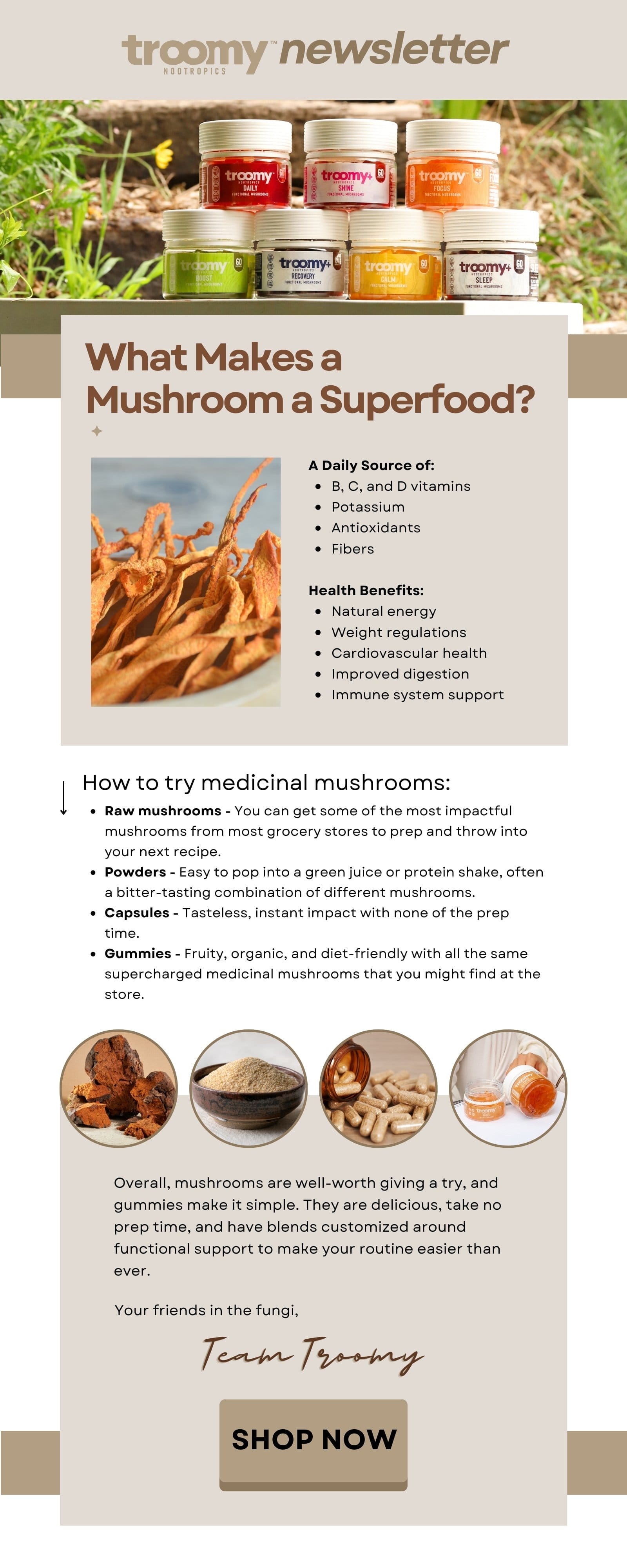 Medicinal Mushrooms - Troomy Nootropics - Health Benefits of Medicinal Mushrooms