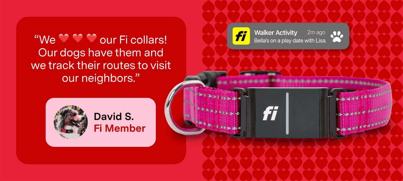 ''We love our Fi collars! Our dogs have them and we track their routes to visit our neighbors.'' - David S. (Fi member)