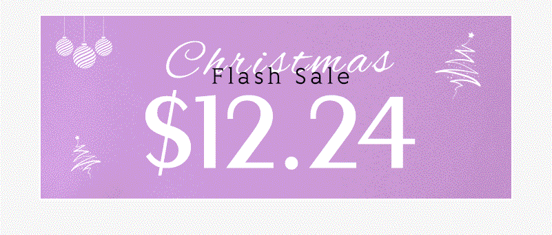 \\$12.24 Christmas Flash Sale