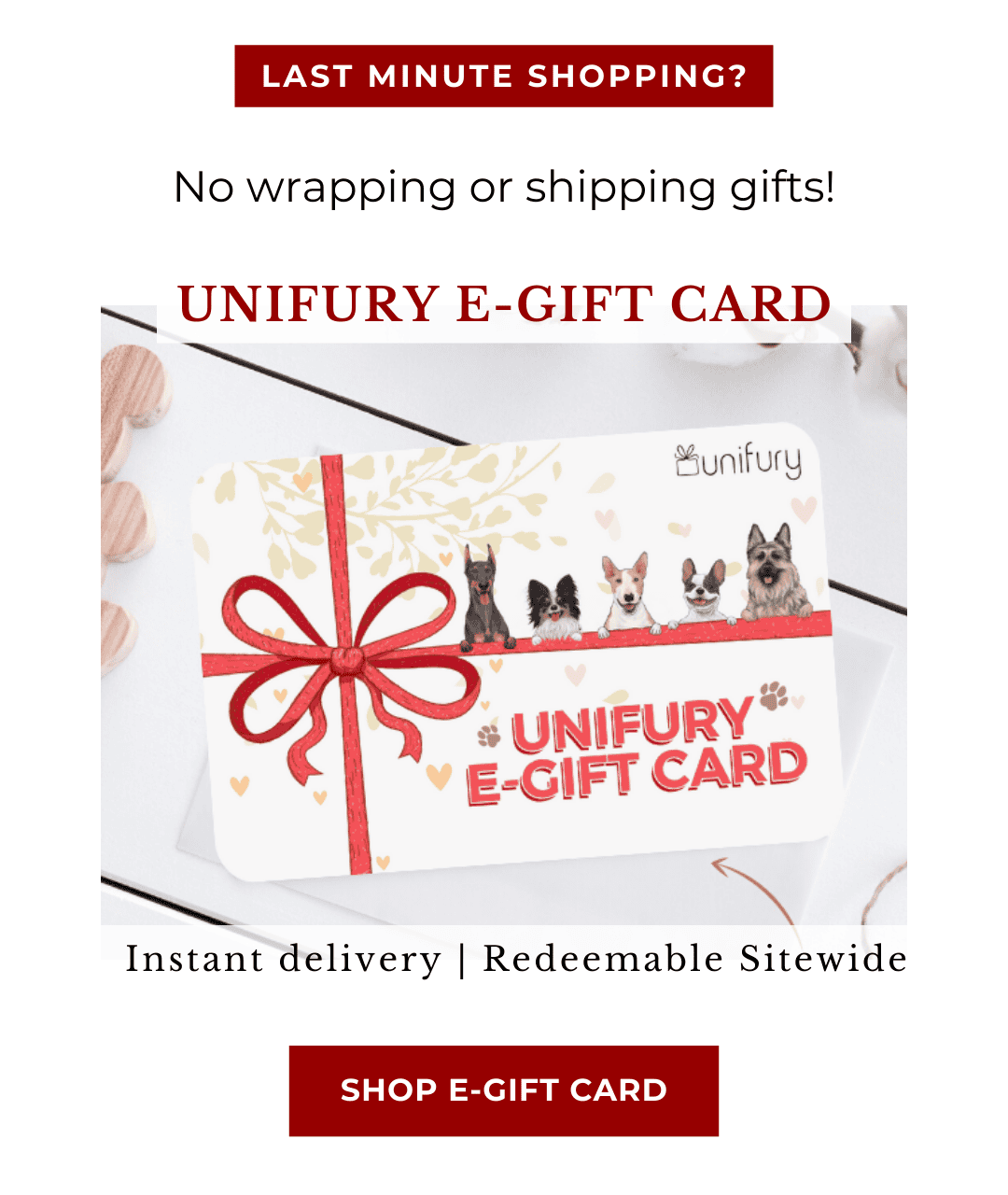 Unifury E-Gift Card | Save 20% off