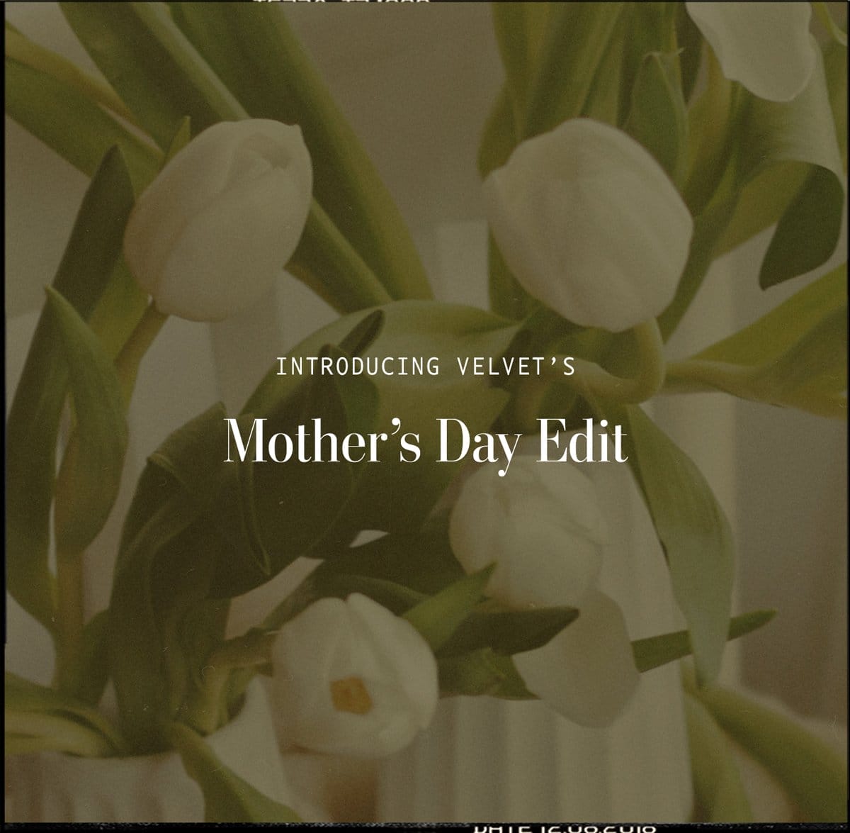 INTRODUCING VELVET'S Mother's Day Edit