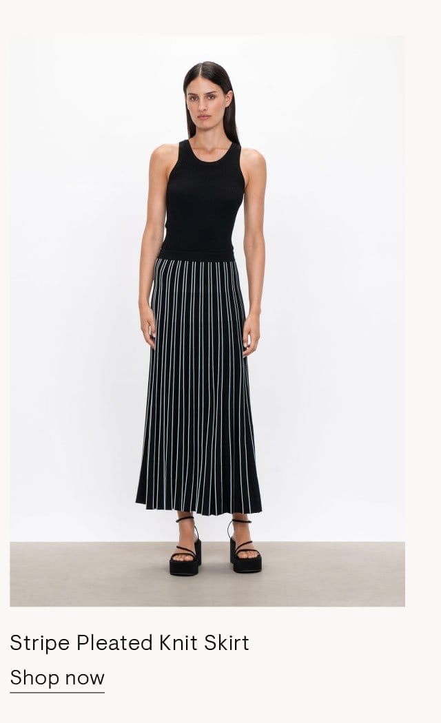 Stripe pleated knit skirt