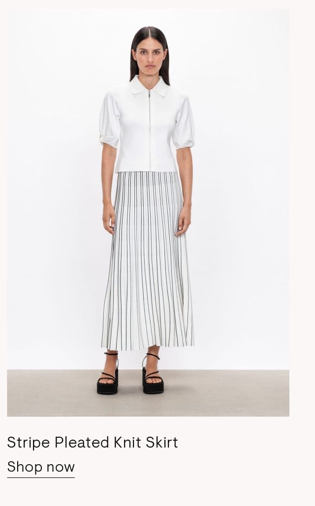 Stripe Pleated Knit Skirt