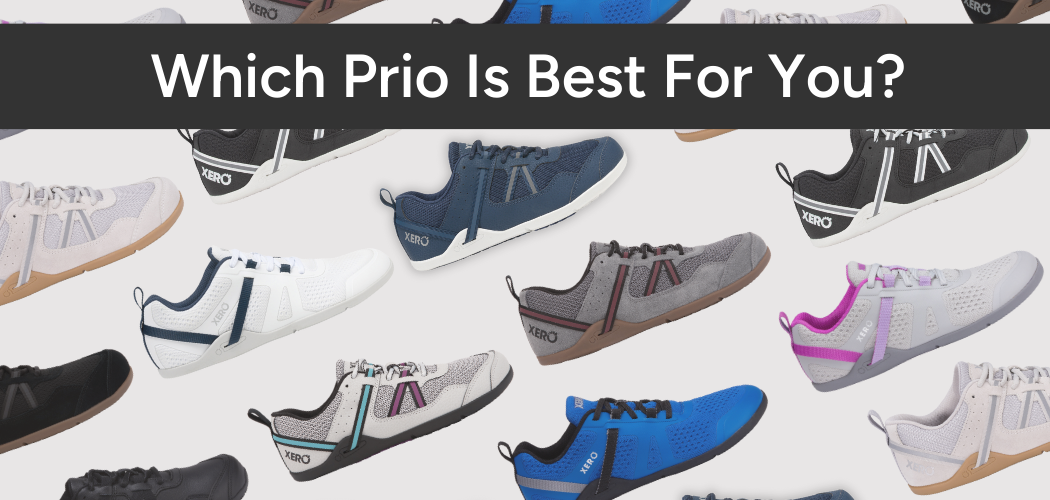Which Prio Is Best For You?
