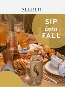 Sip into Fall