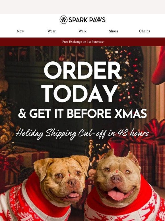 Holiday Shipping Deadline Is Almost Here!
