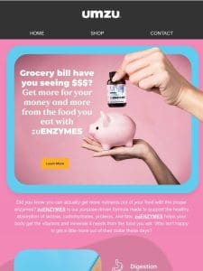 ️ Streeetch Your Grocery Dollars: Here’s the Key to More Nutritious Meals!