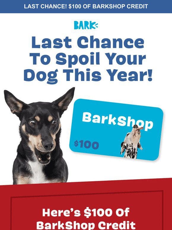 1 DAY LEFT: $100 of BarkShop credit!