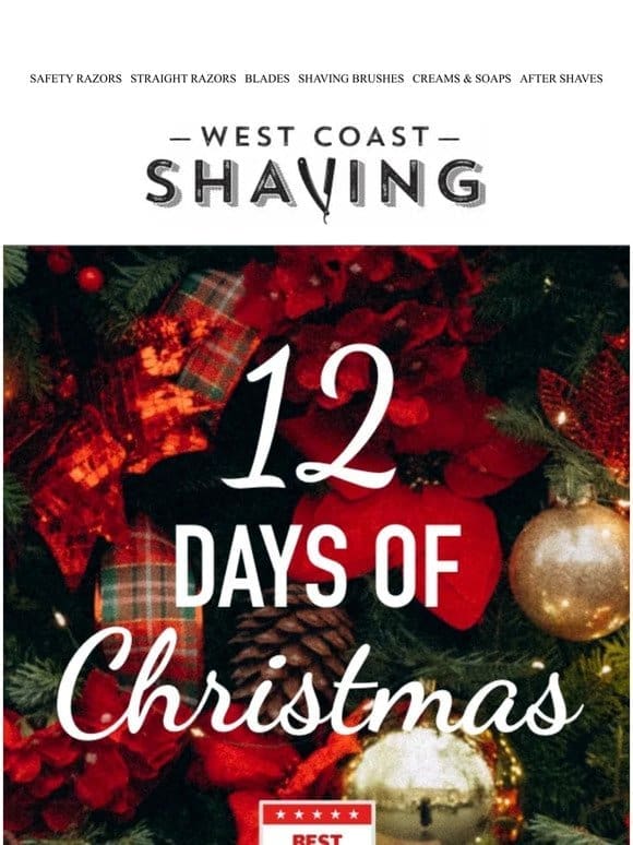 12 Days of Christmas: 50% Off Best Selling Silvertip Brush