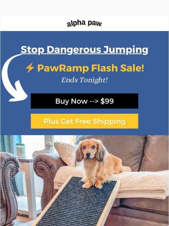 12-Hours Left… PawRamp Flash Sale!