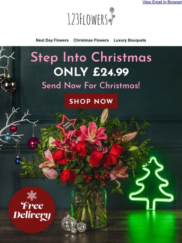 £15 OFF Our Step Into Christmas!