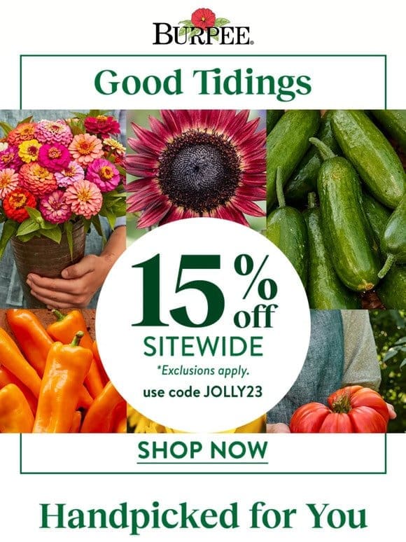15% off sitewide happening now!