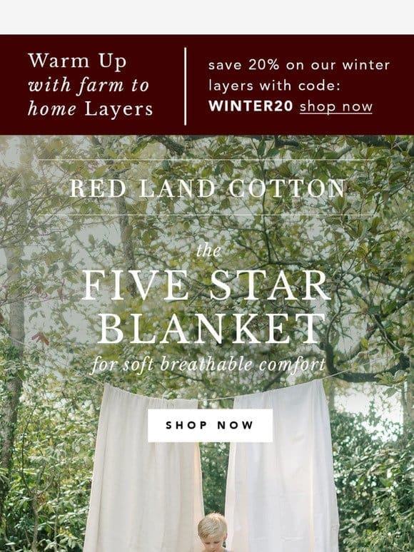20% Off This Five Star Blanket