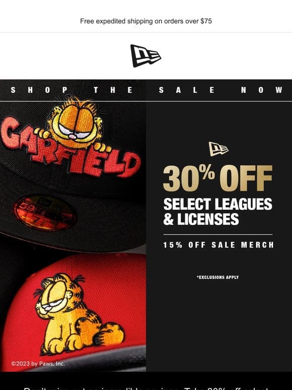 30% off select leagues & licenses ends soon