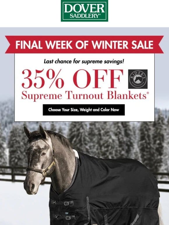 35% Off Blankets for Optimal Protection