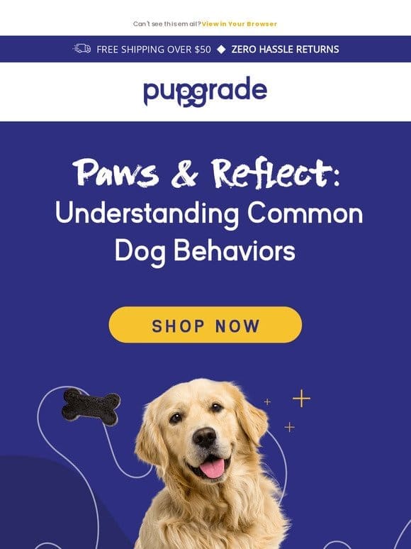 5 Common Doggy Behaviors Explained!