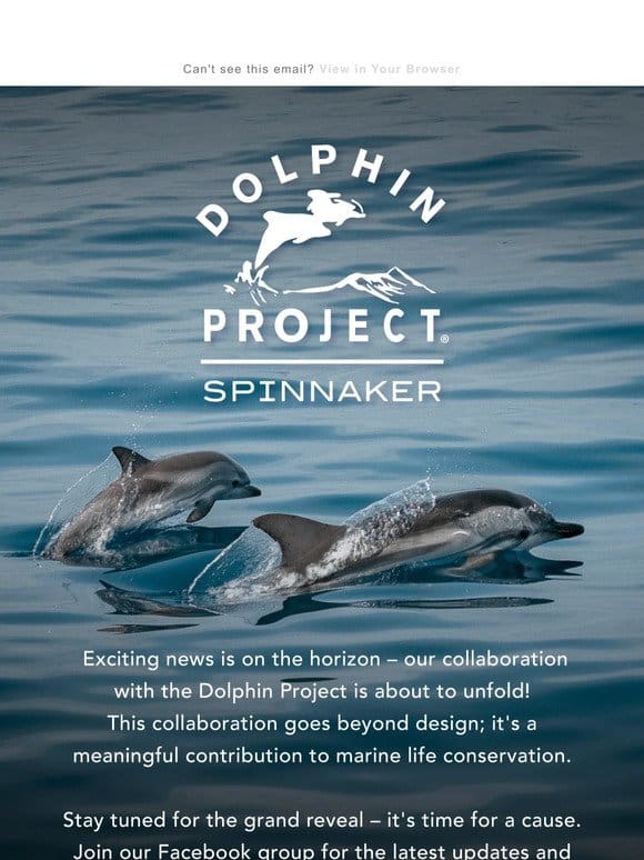 A New Chapter: Dolphin Project Collaboration